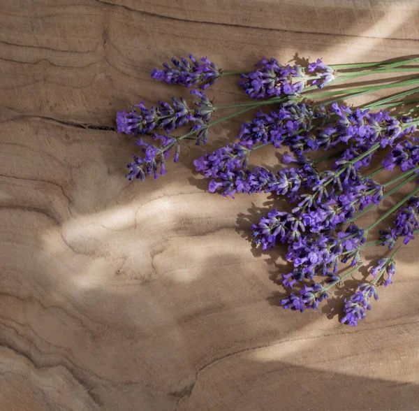 Levandule Květiny Tmavém Dřevěném Pozadí — Stock fotografie