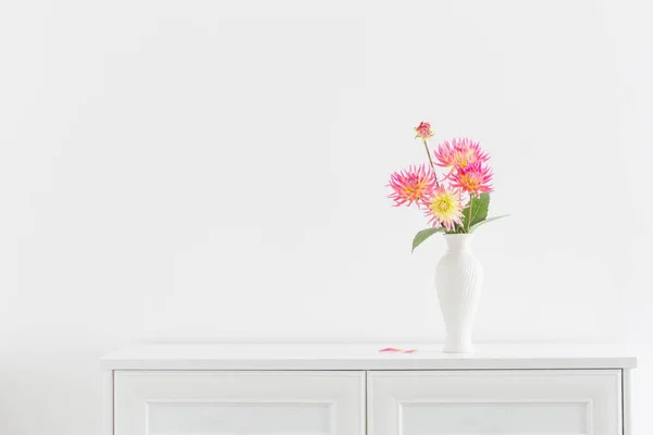 beautiful pink dahlia in white vase on white background