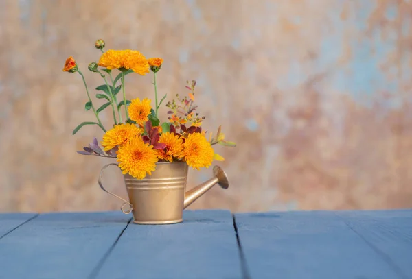 Flores Crisantemo Regadera Oro Pared Fondo Viejo —  Fotos de Stock
