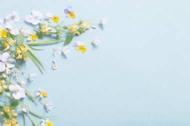 Kağıt arkaplanda yabani çiçekler