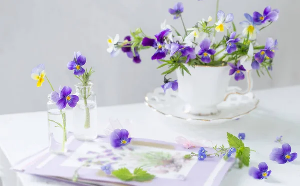 Divoké Květy Viola Bílém Vinobraní Pohár — Stock fotografie
