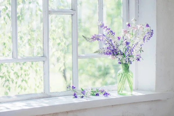 夏天的花朵在窗台上的花瓶里 在阳光下 — 图库照片