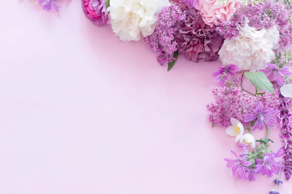 Hermosas Flores Verano Sobre Fondo Papel Rosa — Foto de Stock