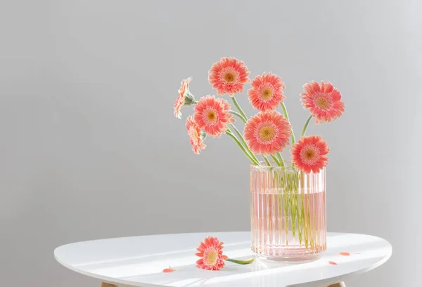 Gerber Rose Verre Vase Rose Sur Table Moderne Blanche — Photo