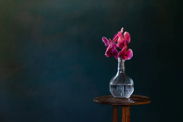 Rosa Orkidé Glasflaska Mörkblå Bakgrund — Stockfoto