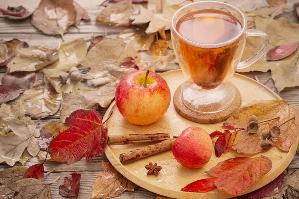 Hot Apple Cider Background Autumn Leaves — Stock Photo, Image