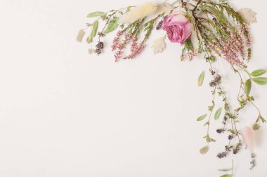 Beyaz Arkaplanda Kurumuş Çiçekler