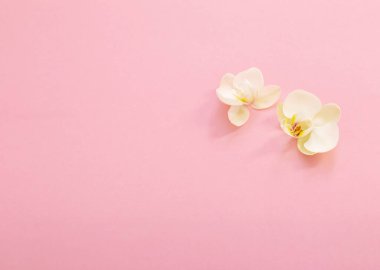 Pembe otlakta beyaz orkide çiçekleri