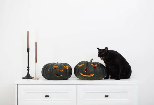 Schwarzer Halloween Kürbis Und Schwarze Katze Weißen Interieur — Stockfoto