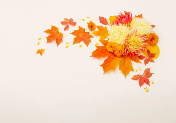 Podzimní Listy Květiny Složení Bílém Pozadí — Stock fotografie