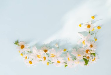 mavi kağıtta bahar çiçekleri