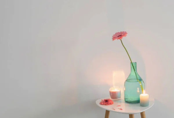 Pink Gerber Oin Glass Vase White Background — Foto Stock