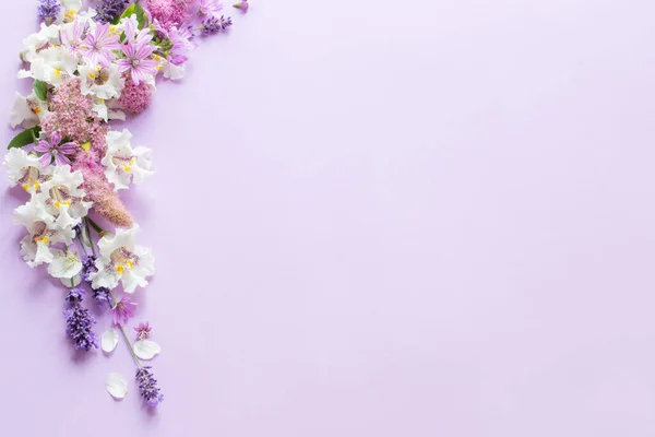 Белый Фиолетовый Цветы Фиолетовом Фоне Бумаги — стоковое фото