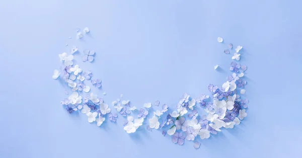 青と白の紫陽花の花を背景に — ストック写真
