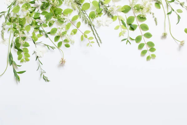 stock image wildflowers and plants on white background