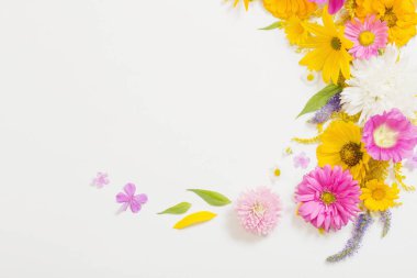 Beyaz arkaplanda sarı ve pembe çiçekler