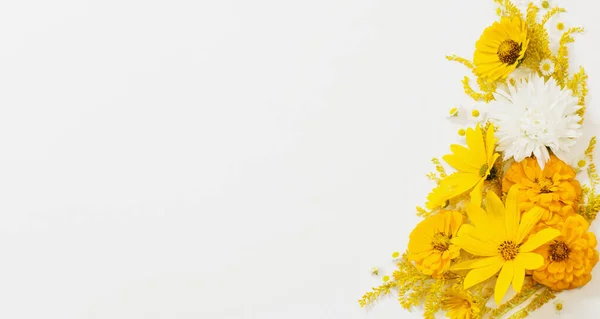 Sárga Virágok Fehér Háttér — Stock Fotó