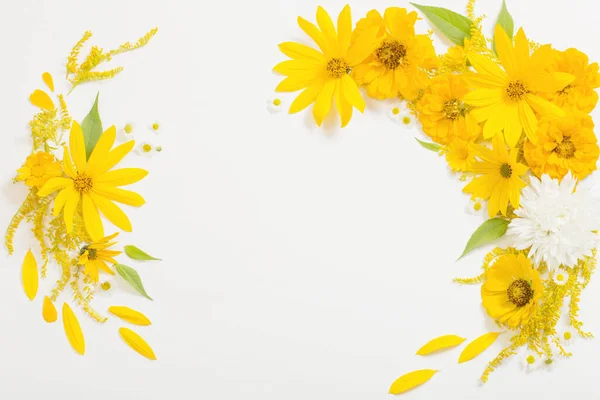 Yellow Flowers White Background — Stock Photo, Image