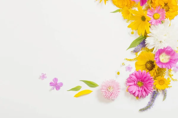 Yellow Pink Flowers White Background — Stock Photo, Image