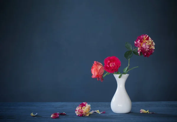 Róże Wazonie Ciemnoniebieskim Tle — Zdjęcie stockowe