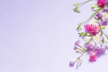 açık mor arkaplanda pembe, beyaz ve mor çiçekler