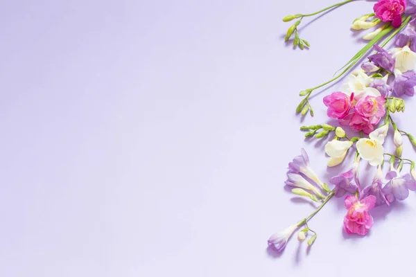 浅紫色背景的粉红色 白色和紫色花 — 图库照片