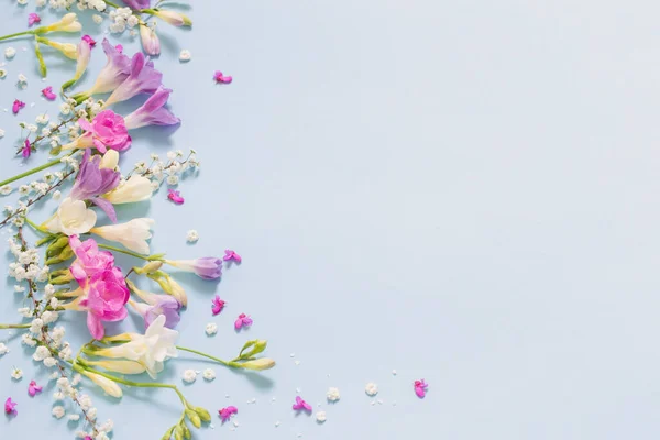 Весна Красивые Цветы Голубом Фоне — стоковое фото