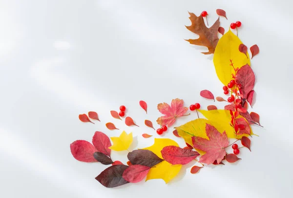 Podzimní Červené Žluté Listy Bílém Pozadí — Stock fotografie