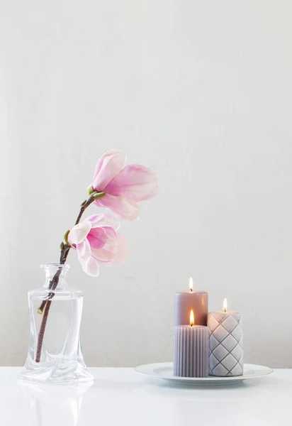 Pink Magnolia Flowers Glass Vase White Background — Stock Photo, Image