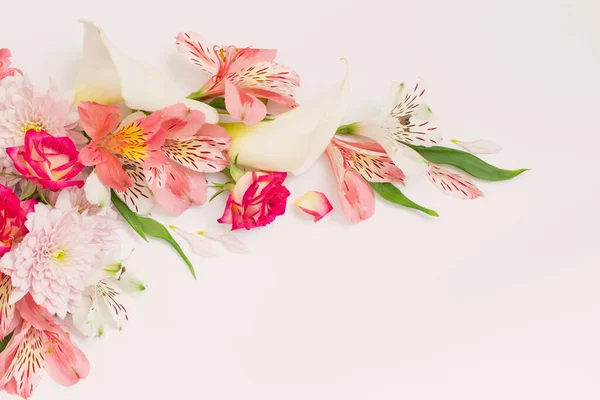 Alstroemeria Fleurs Sur Fond Blanc — Photo