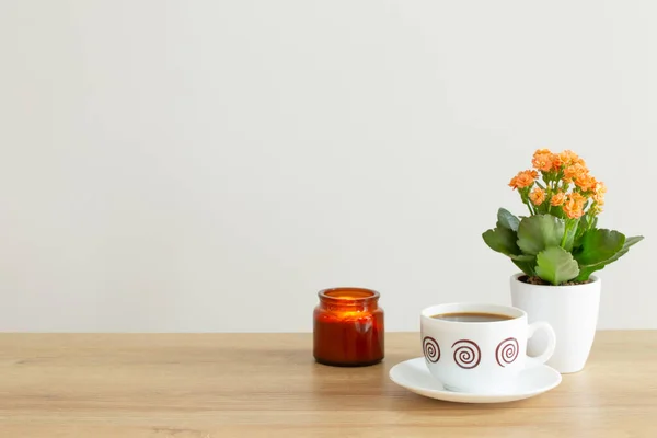 house plant, burning candle  and coffee cup on background gray wall