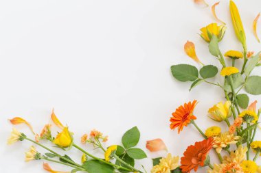 çerçeve beyaz zemin üzerine güzel çiçekler