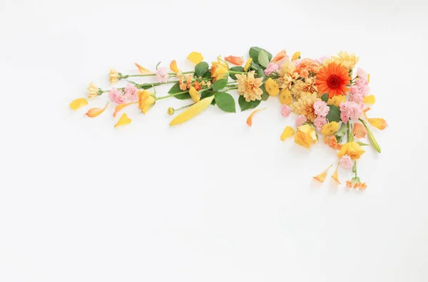 stock image frame of beautiful flowers on white background