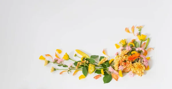 Каркас Красивих Квітів Білому Тлі — стокове фото
