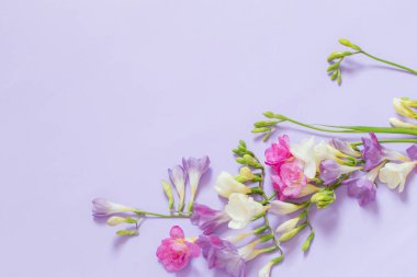 açık mor arkaplanda pembe, beyaz ve mor çiçekler