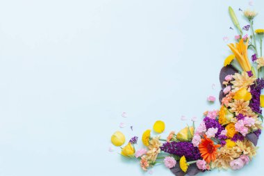 Mavi arka planda güzel yaz çiçekleri