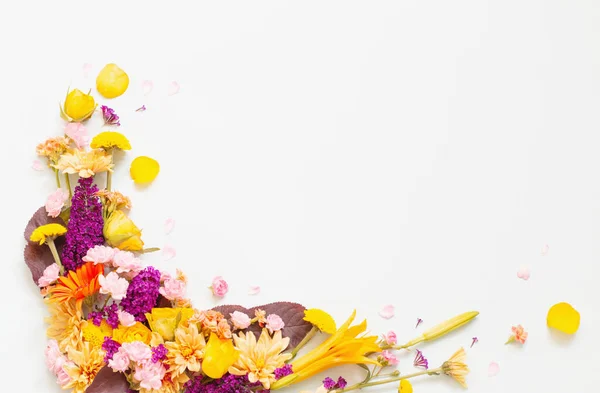 Beyaz Arka Planda Güzel Yaz Çiçekleri — Stok fotoğraf