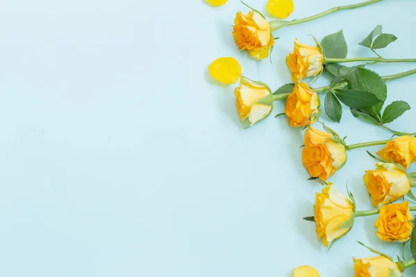 Rosas Amarelas Sobre Fundo Papel Verde — Fotografia de Stock