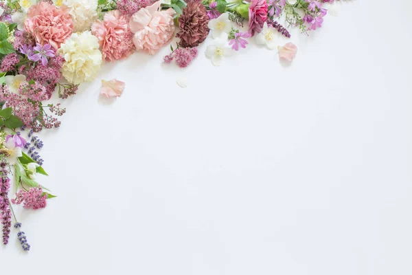 Красиві Літні Квіти Білому Тлі — стокове фото