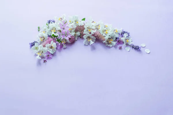 Weiße Und Lila Blumen Auf Lila Papier Hintergrund — Stockfoto