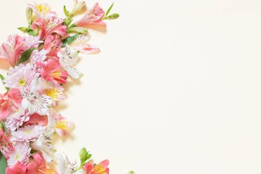 Sarı arka planda alstroemeria ve kasımpatı çiçekleri