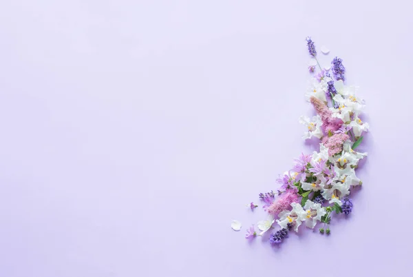 Fleurs Blanches Violettes Sur Fond Papier Violet — Photo