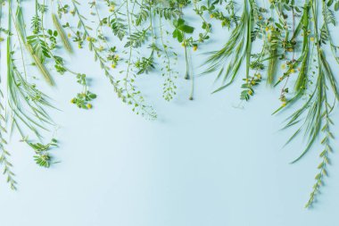 yeşil kağıt arka planda yabani bitkiler