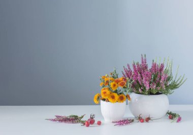 Gri arkaplandaki masada beyaz kaplarda çiçekler