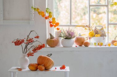 Beyaz arka planda balkabağı ve kızılcık üzümlü güz doğal dekoru