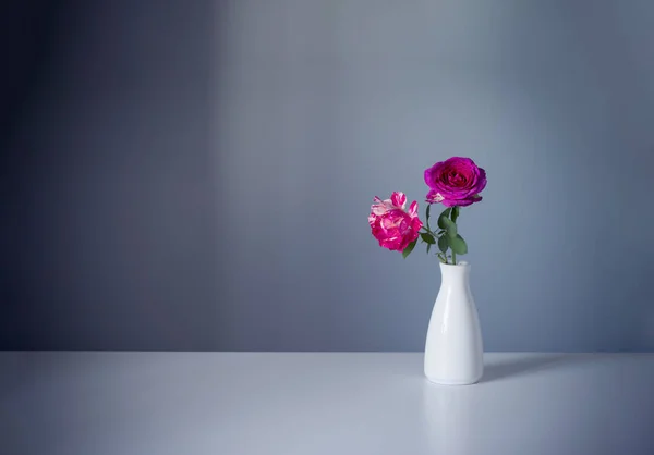 Vaso Branco Com Rosas Cor Rosa Sobre Fundo Azul — Fotografia de Stock