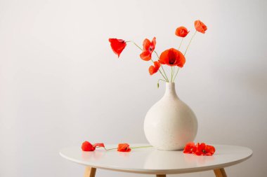 Beyaz arkaplanda vazoda kırmızı gelincikler