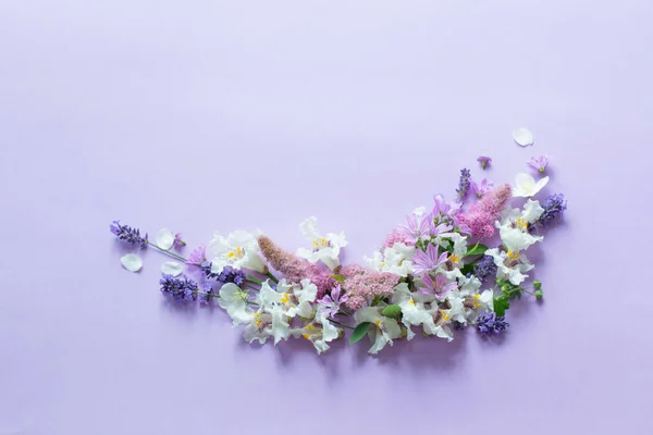Fleurs Blanches Violettes Sur Fond Papier Violet — Photo