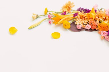 Beyaz arka planda güzel yaz çiçekleri