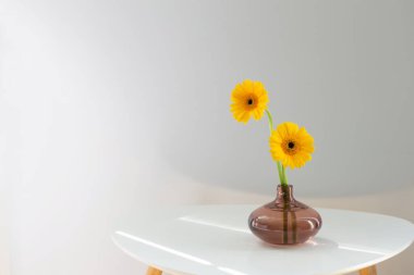 Sarı gerbera cam vazoda beyaz masada beyaz arkaplanda